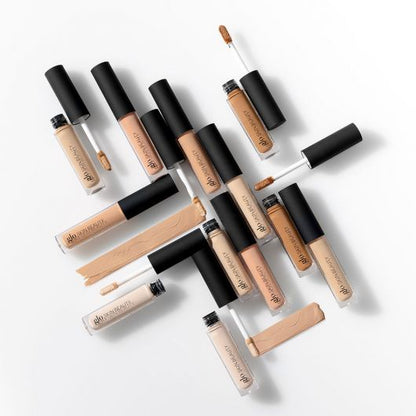 Glo Skin Beauty Luminous Brightening Concealer